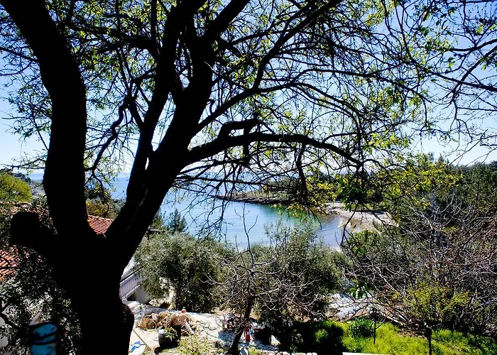 Ntina アパート *